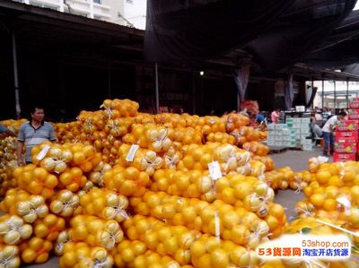 长春果品中心批发市场全方位指南 地址、路线、营业时间与拿货攻略